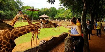 Korat Zoo-03
