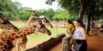 Korat Zoo-04