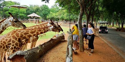 Korat Zoo-05