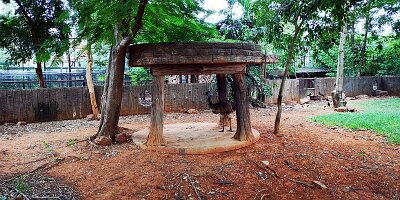 Korat Zoo-07