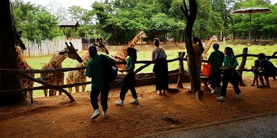 Korat Zoo-08