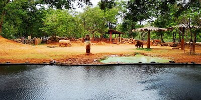 Korat Zoo-10