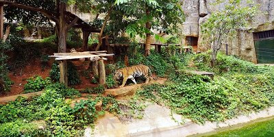 Korat Zoo-11