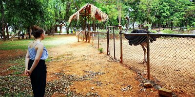 Korat Zoo-16