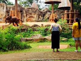 Korat Zoo-24