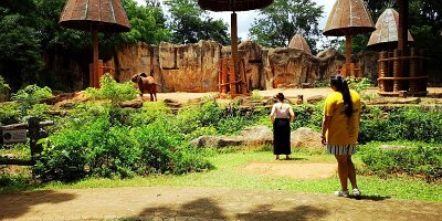 Korat Zoo-26
