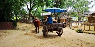 Elephant Village-04