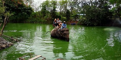 Elephant Village-05