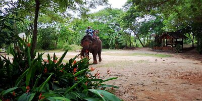 Elephant Village-10