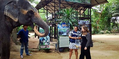 Elephant Village-13