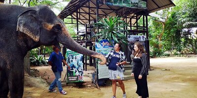Elephant Village-14
