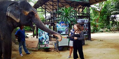 Elephant Village-15