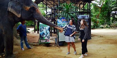 Elephant Village-16