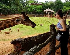07-26 Zoo