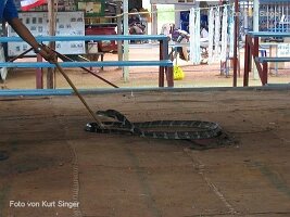 Reiseimpressionen Thailand-032