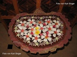 Reiseimpressionen Thailand-085