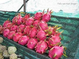 Reiseimpressionen Thailand-091