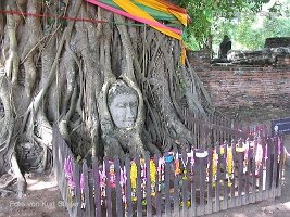 Reiseimpressionen Thailand-101