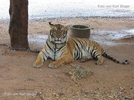 Reiseimpressionen Thailand-115