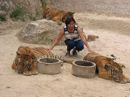 Reiseimpressionen Thailand-120