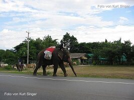 Reiseimpressionen Thailand-121