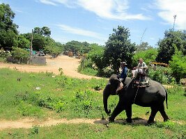 02 Elefant-05
