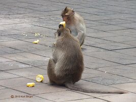 Lopburi-Sarn-Phra-Karn-08