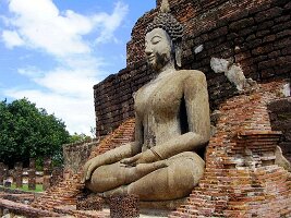 Wat Mahatat-05
