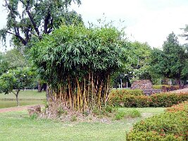 Wat Sa Si-03